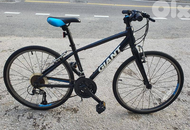 Giant Revel 24" full Aluminium 0
