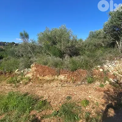 Land For Sale dibbieh | أرض للبيع في الدبية Land For Sale dibbieh | أرض للبيع في الدبية
