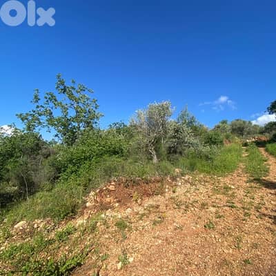 Land For Sale dibbieh | أرض للبيع في الدبية