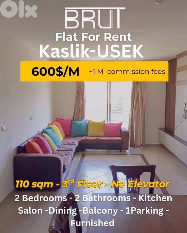 Apartment for rent in Kaslik USEK 0
