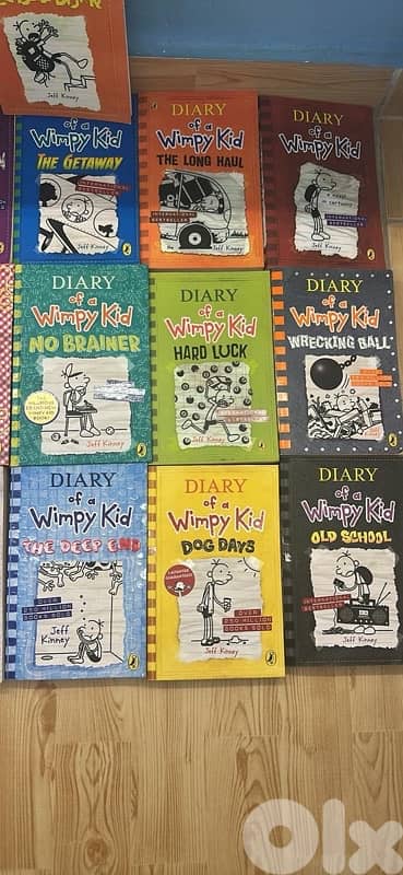 Diary of A Wimpy Kid 16 Book Set All for 100$ 2