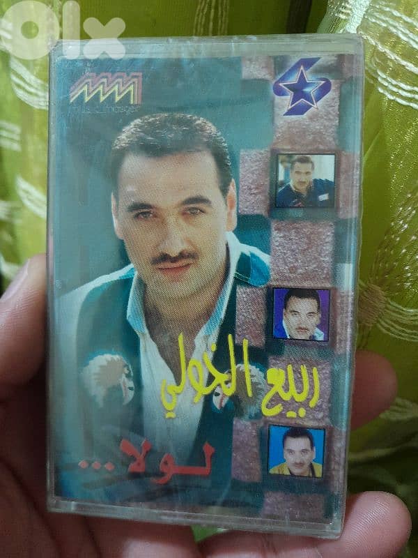 ربيع الخولي 0