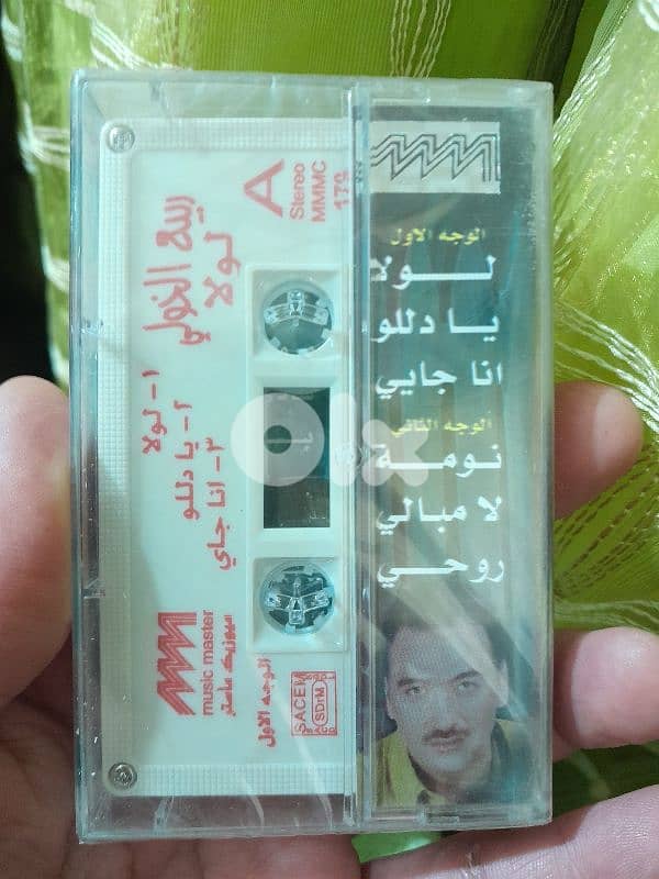 ربيع الخولي 1