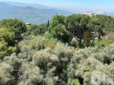 Aprtment for sale in Broumana/ New/ Amazing view/Garden