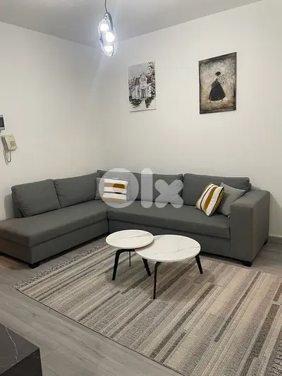 Furnished one bedroom apartment for rent in Ashrafieh Sioufi