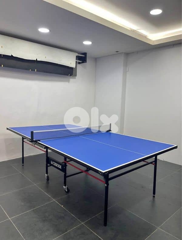 Indoor Table Tennis (Ping Pong Table) – Chiodi | Made in India 0