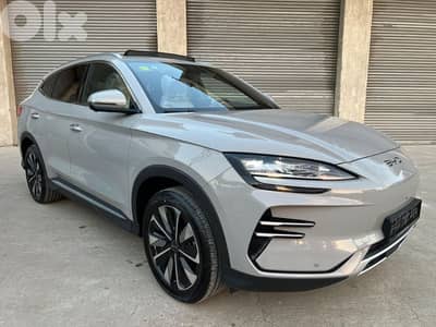 BYD Other 2025