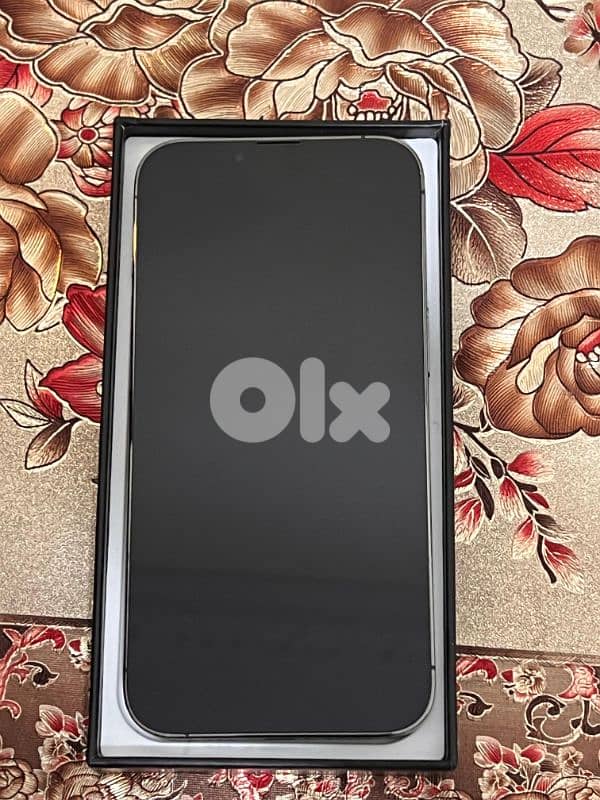 iphone 13 1