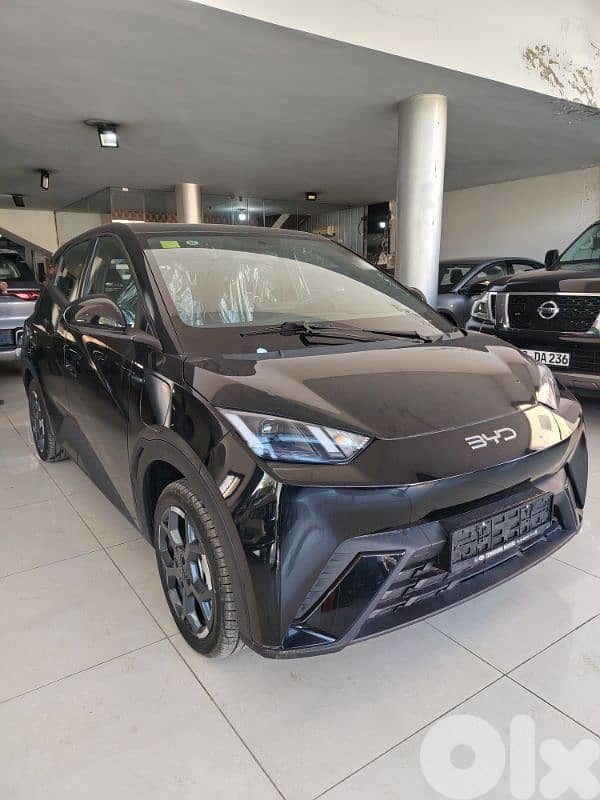 BYD Seagull 2025 0