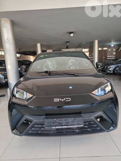 BYD Seagull 2025 BYD Seagull 2025
