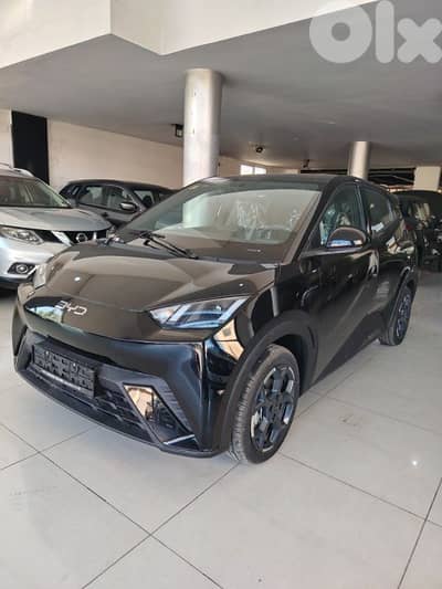 BYD Seagull 2025 BYD Seagull 2025
