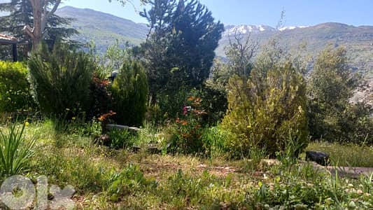 land for sale in Tannourine Village أرض للبيع في تنورين الفوقا