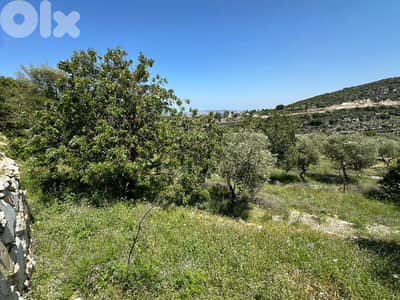 Land for sale in Helta 2123m² ONLY for 140K في حلتا