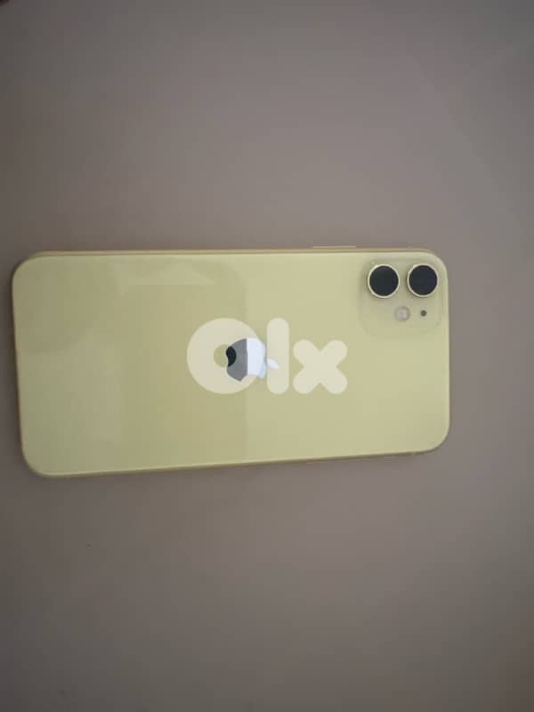 iPhone 11 0