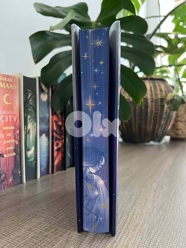 Book - Heir of Stardust and Secrets - Special Edition from Bookish Box 2
