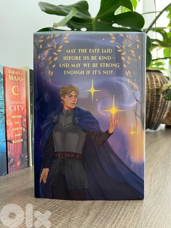 Book - Heir of Stardust and Secrets - Special Edition from Bookish Box 3