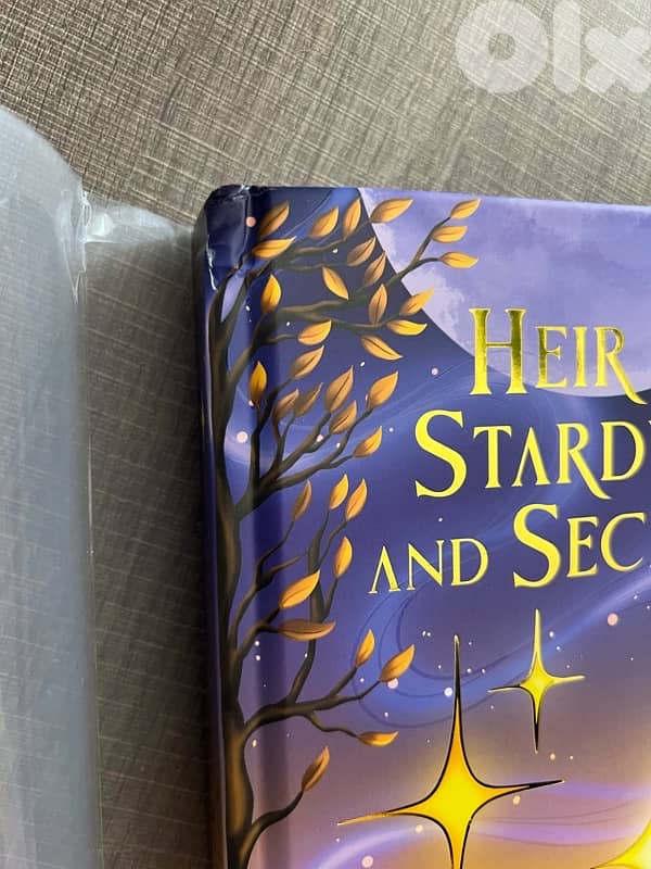 Book - Heir of Stardust and Secrets - Special Edition from Bookish Box 5