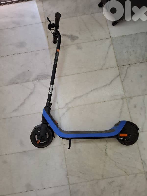 electric scooter 1
