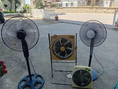 مرواح عدد٤ جيدين