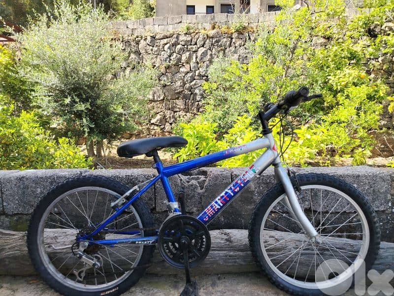 bike 20 0