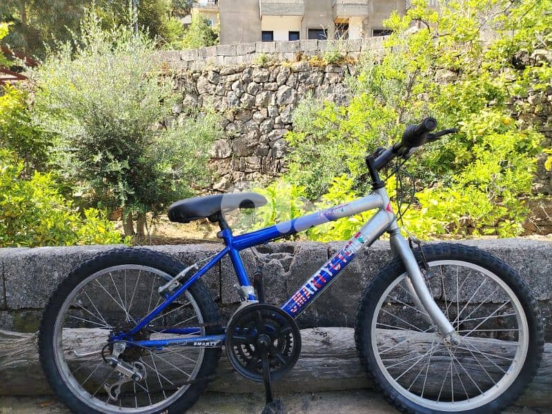 bike 20 1