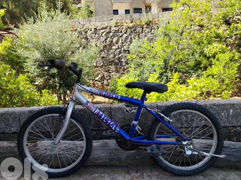 bike 20 2