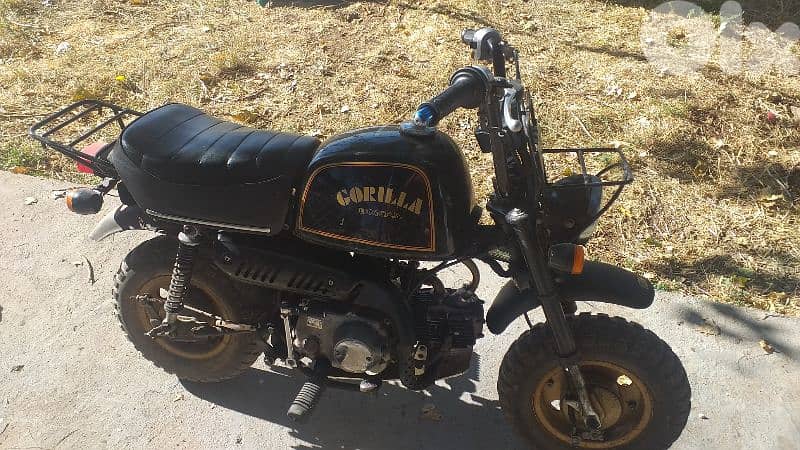 Honda Gorilla 1995 ORIGINAL 1