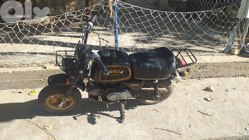 Honda Gorilla 1995 ORIGINAL 2
