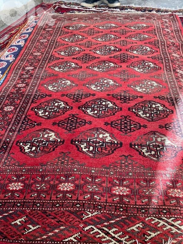 سجاد عجمي عدد ١٦ 6