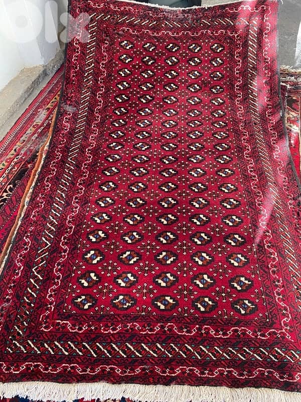 سجاد عجمي عدد ١٦ 8