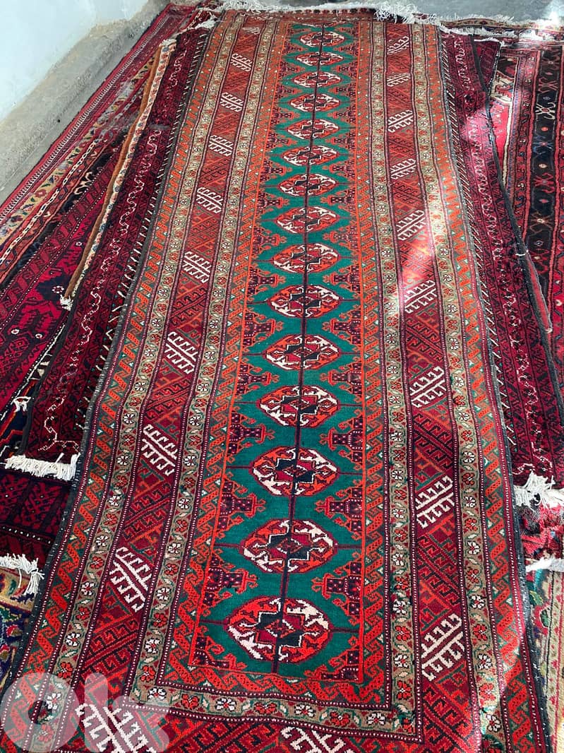 سجاد عجمي عدد ١٦ 9