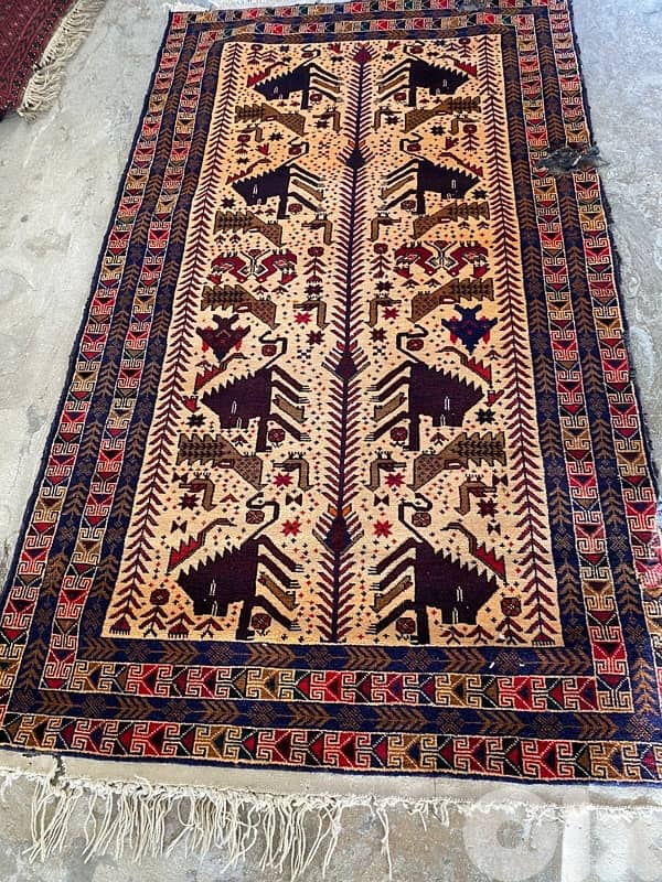 سجاد عجمي عدد ١٦ 14