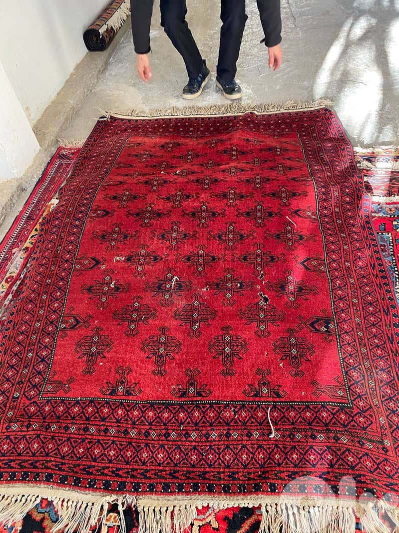 سجاد عجمي عدد ١٦ 15