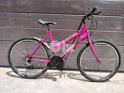Stryker bike