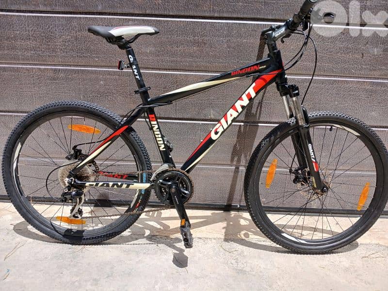 Giant Rincon 0