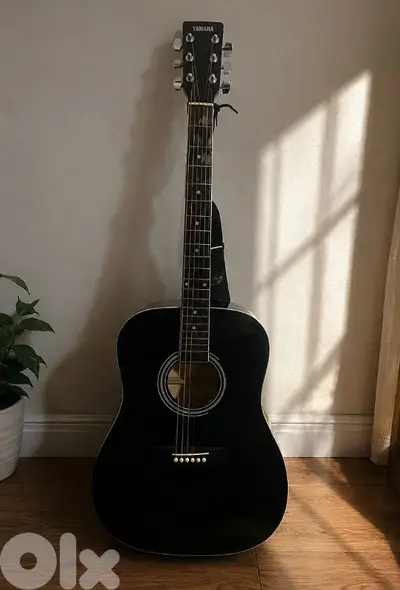 Paranoid Acoustic Guitar