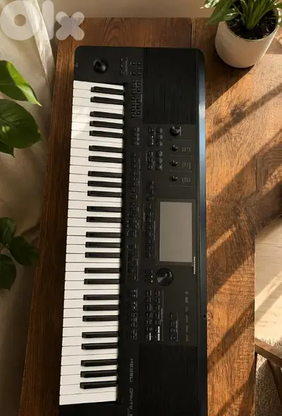 Medeli Dante Zen Oriental Keyboard Arranger