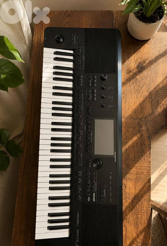 Medeli Dante Zen Oriental Keyboard Arranger 0