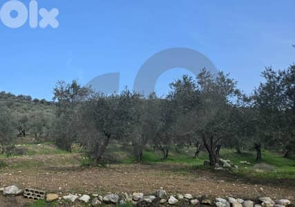 Great deal, prime location, Bezbiza, Koura/بزيزا, الكورة REF#YT136106