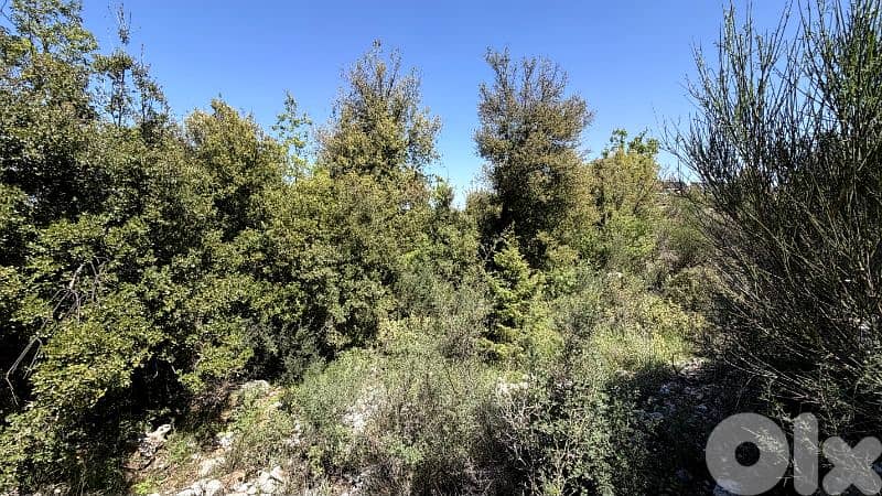 RWB379CA - Land for sale in Mechmech Jbeil 2