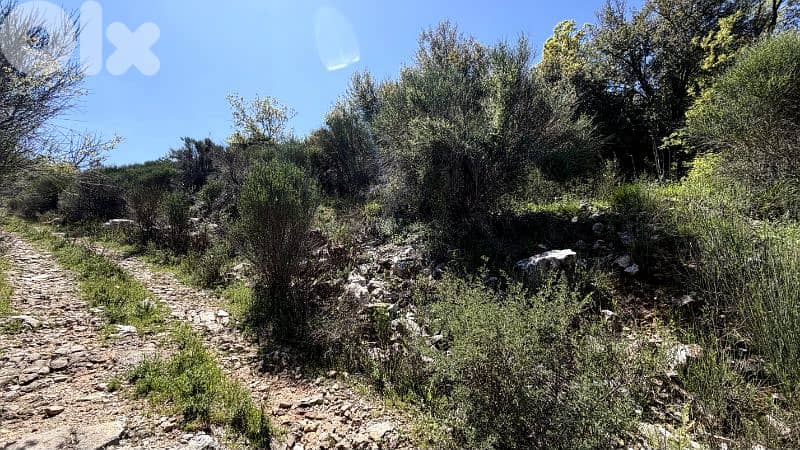 RWB380CA - Land for sale in Mechmech Jbeil 2