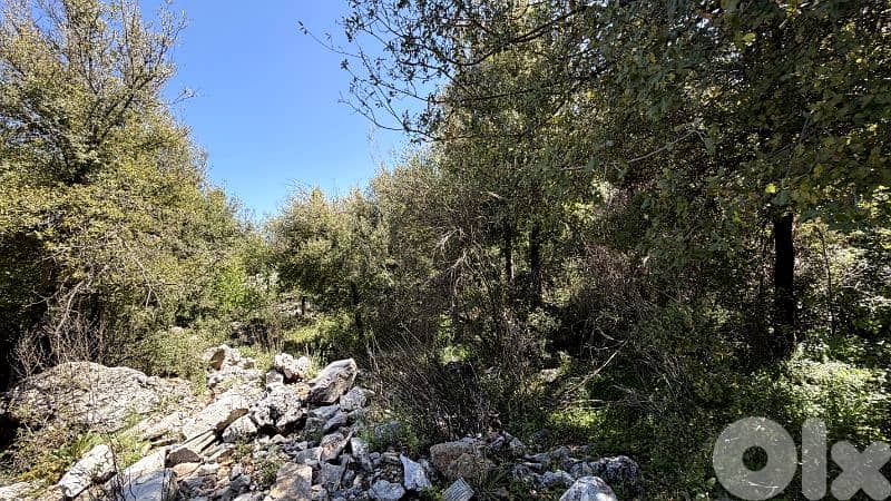 RWB380CA - Land for sale in Mechmech Jbeil 5