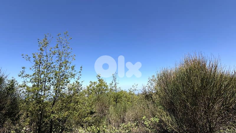 RWB381CA - Land for sale in Mechmech Jbeil 0