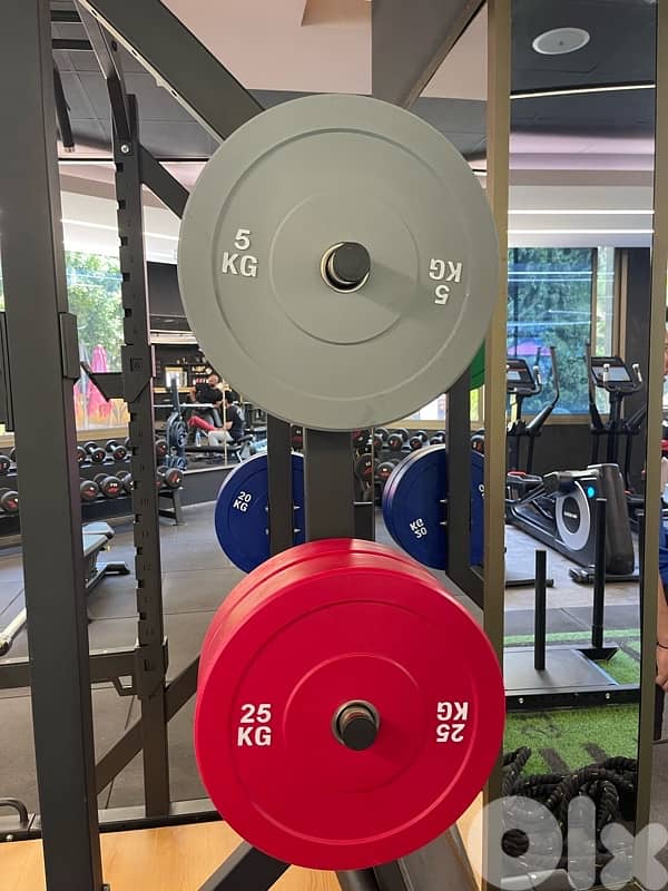 Professional Olympic Colored Bumper Plate Set 150KG 5