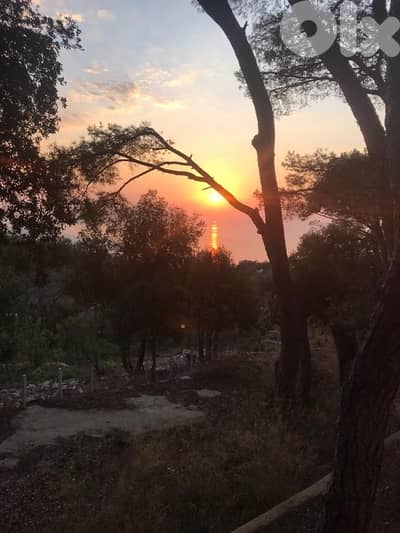Land for sale in Dlebta (Ghazir)