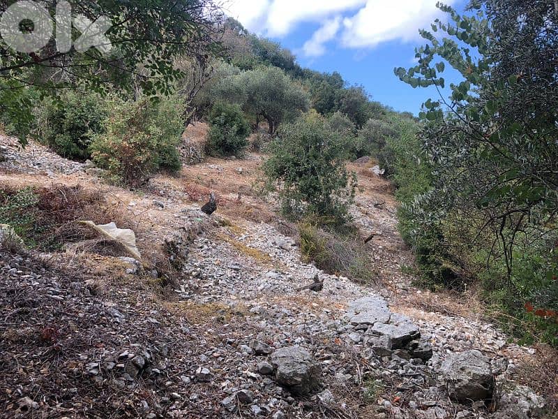 Perfect land for sale in kfoun or Bungalows or prefab house 0