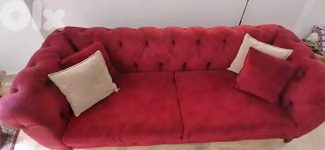 كنباية شسترفيلد بوردو