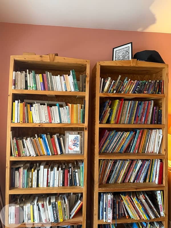 bookshelves 0