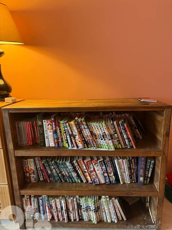 bookshelves 1