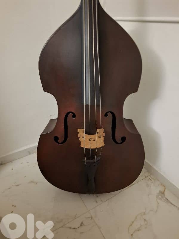 European double bass 1